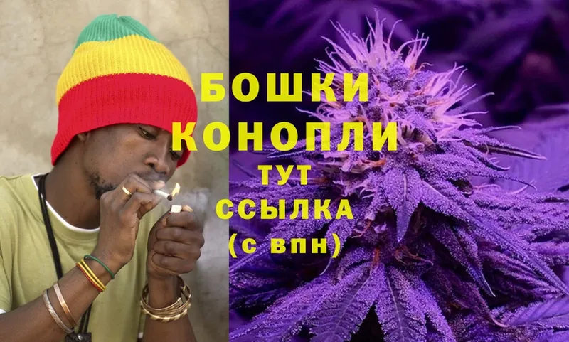 Каннабис SATIVA & INDICA  Апшеронск 